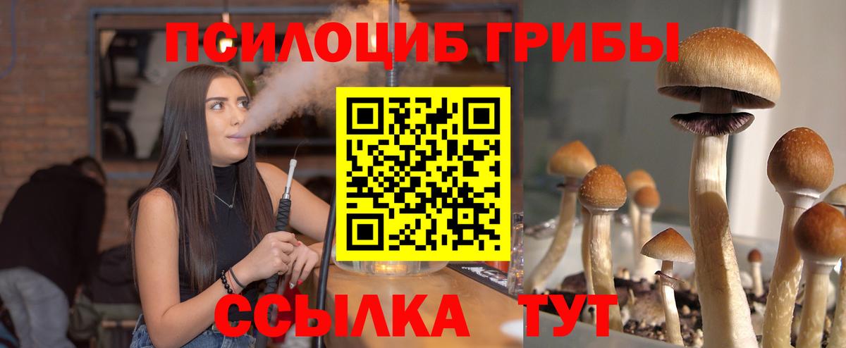 Псилоцибиновые грибы мицелий Кирово-Чепецк